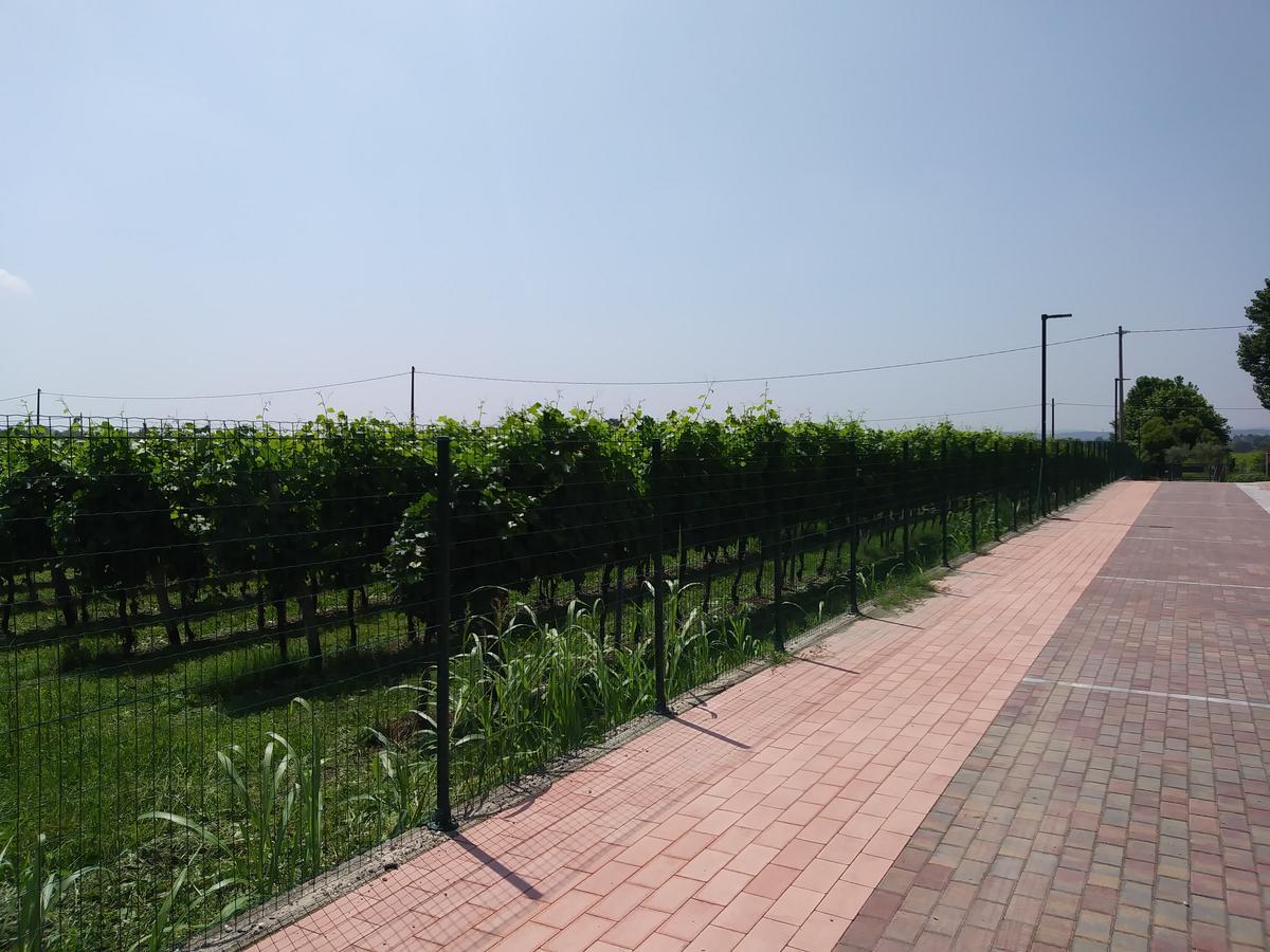 Stella Del Garda Bed & Breakfast Лацизе Екстериор снимка